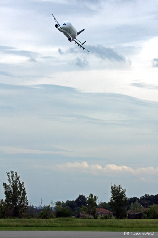 High banking angle whale